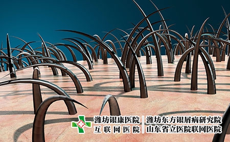 摄图网_401926276_头发生长（企业商用）