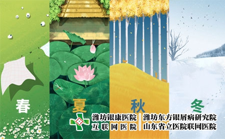 摄图网_400124729_四季系列手机壁纸插画（企业商用）